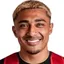 J. Araujo