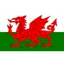 Wales U19 Millî Takımı