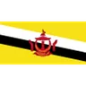 Brunei Millî Takımı