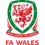 Wales U21 Millî Takımı